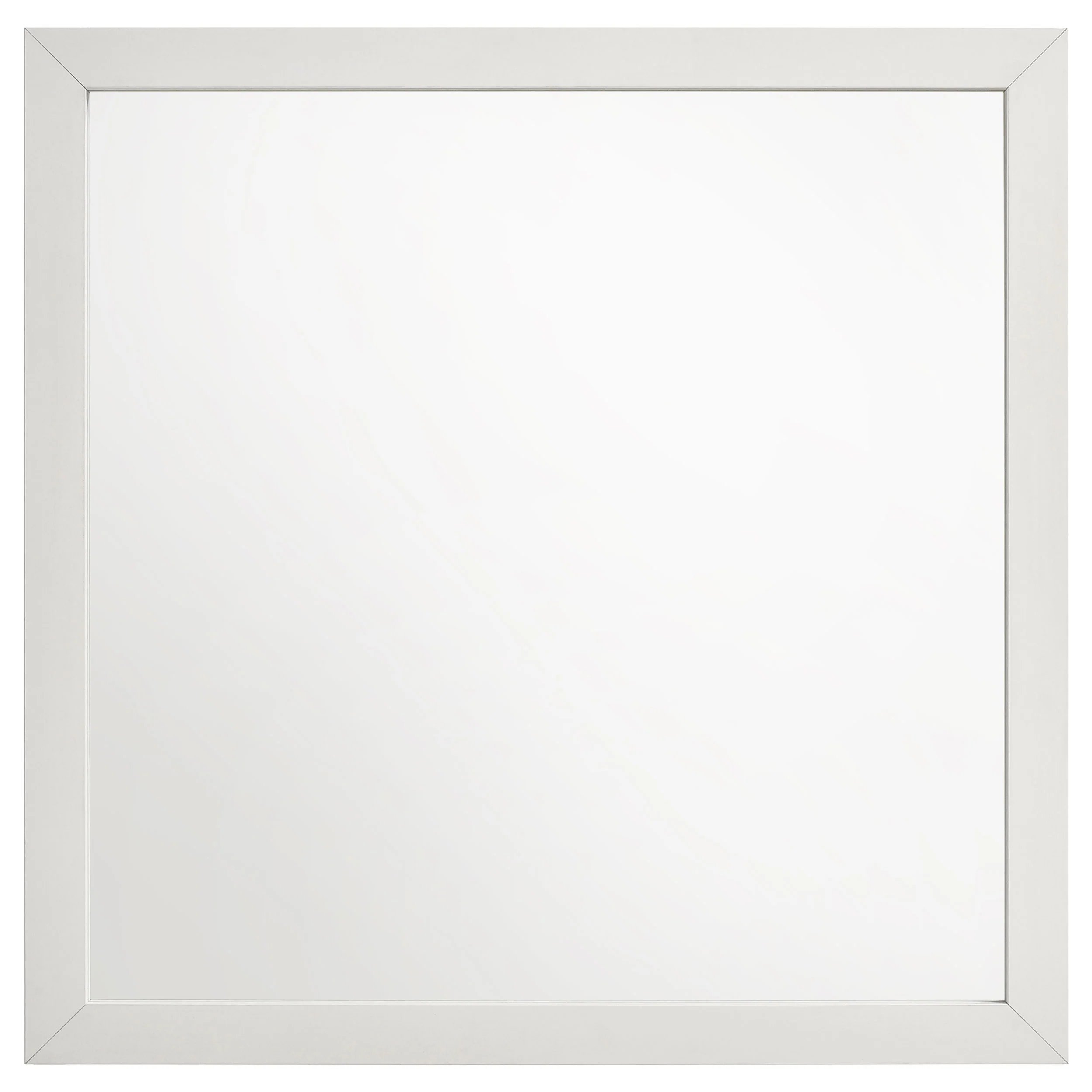 Product image 241
